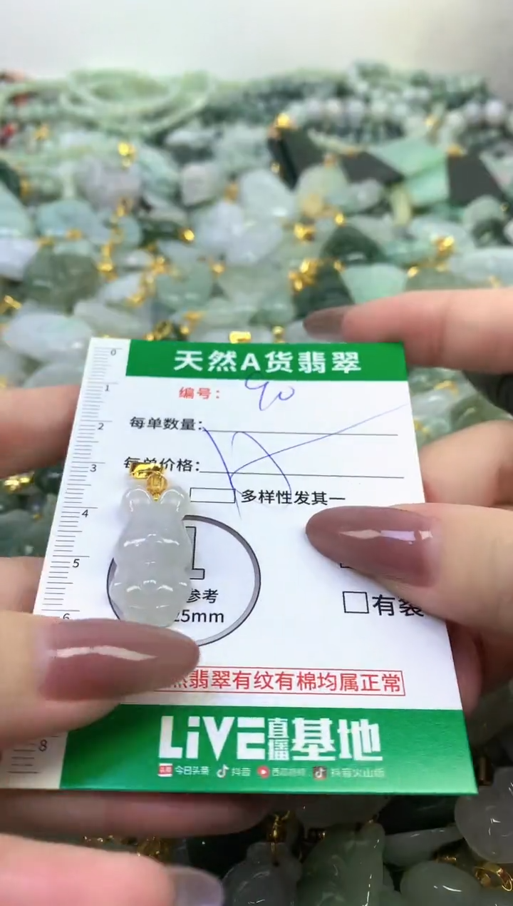 颈饰未镶嵌翡翠纯天然缅甸A货翡翠