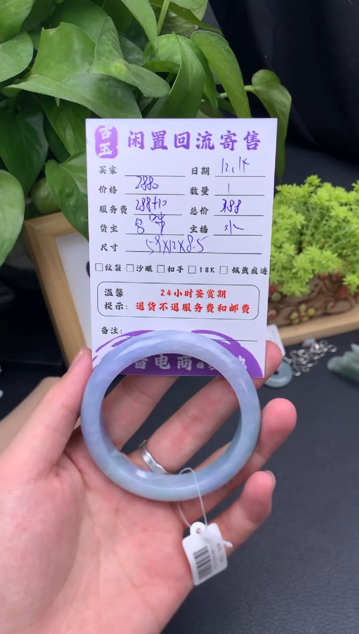 未镶嵌手镯翡翠手镯