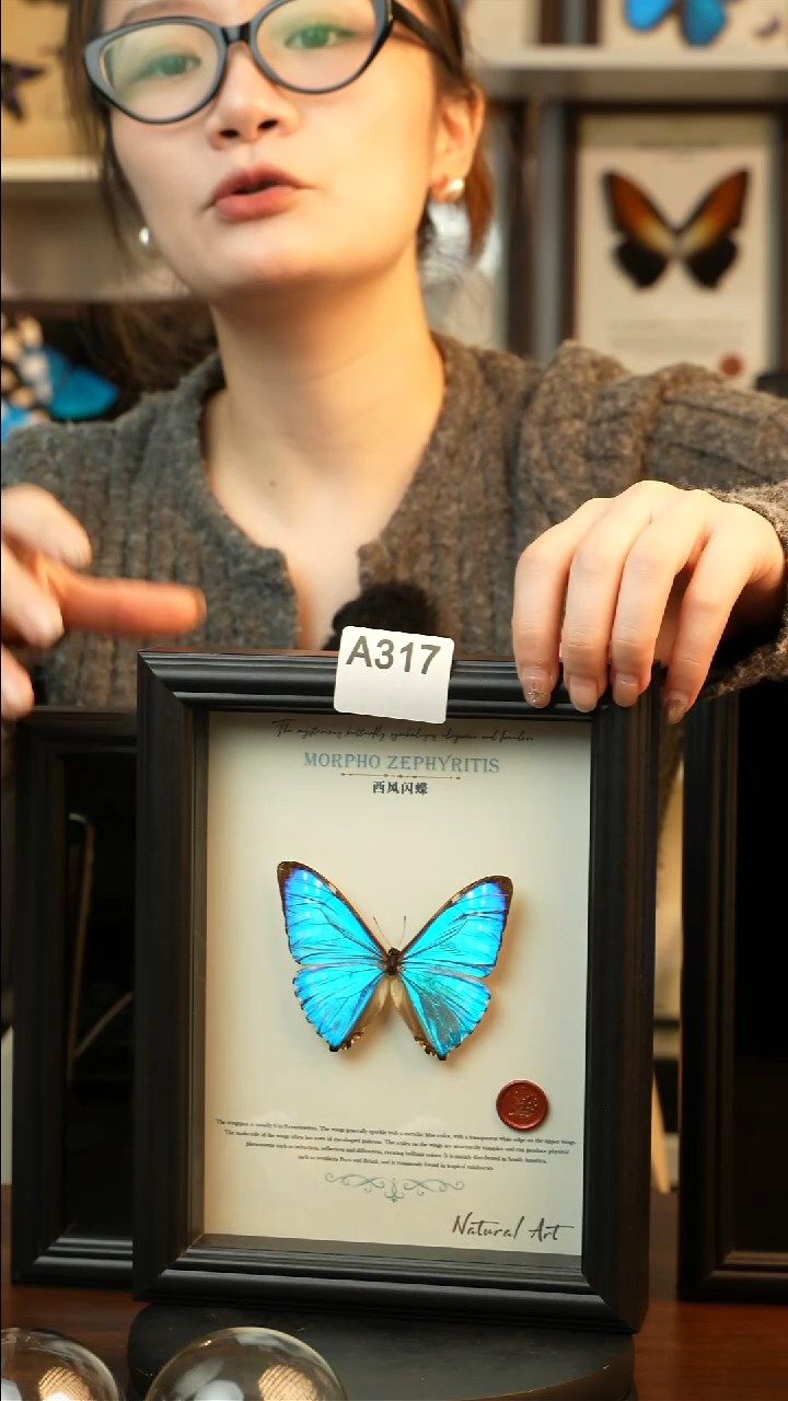 西风闪蝶-英文（8寸欧式黑框）A317