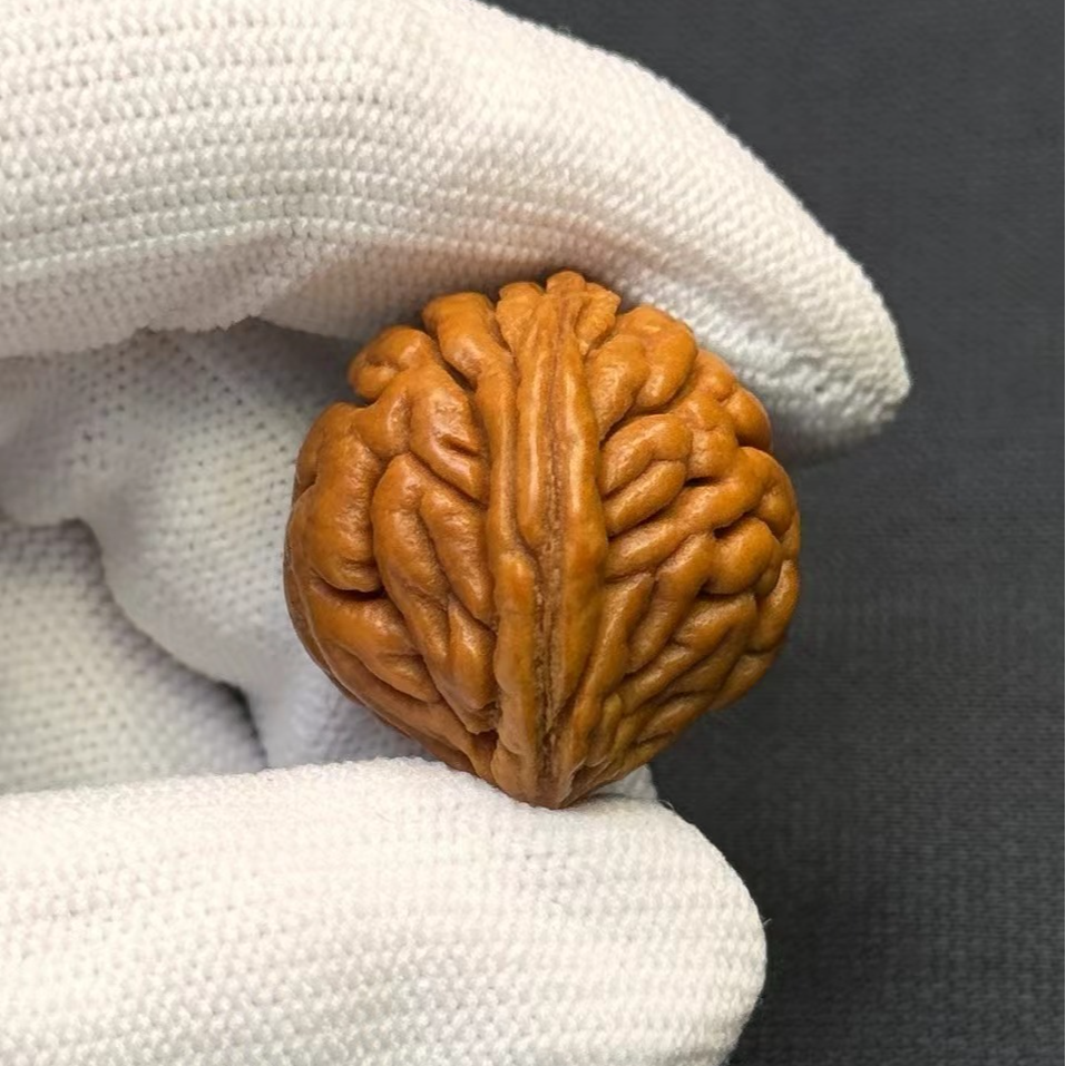 秦岭野生龙纹桃核散籽男士手串手108持脖挂光珠佛珠念珠雕刻老型