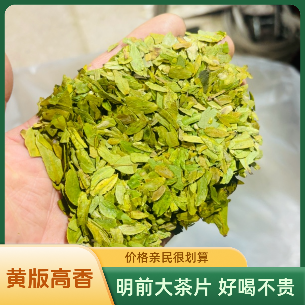 【A2】2025新茶 黄版高香型明前粗茶片 