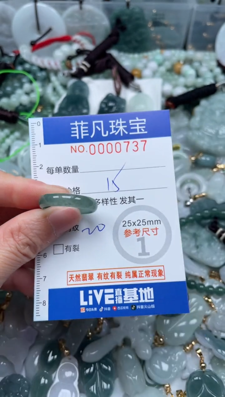 【闪购商品】翡翠颈饰未镶嵌00..0737