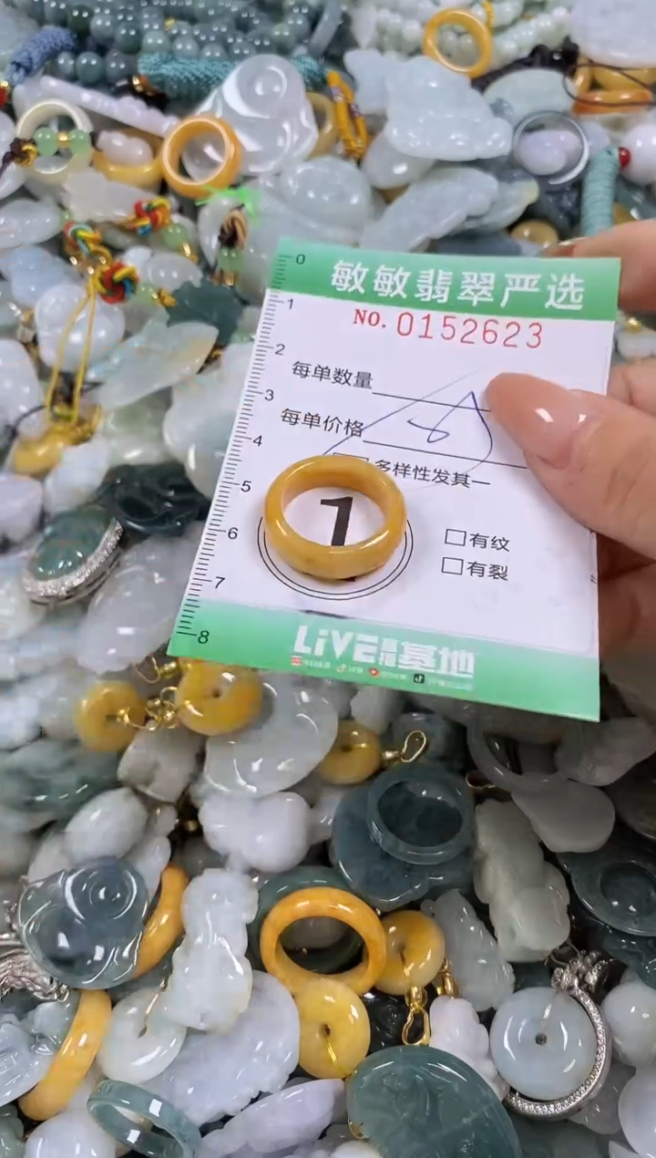 翡翠未镶嵌颈饰闪购0152623多样性发其一