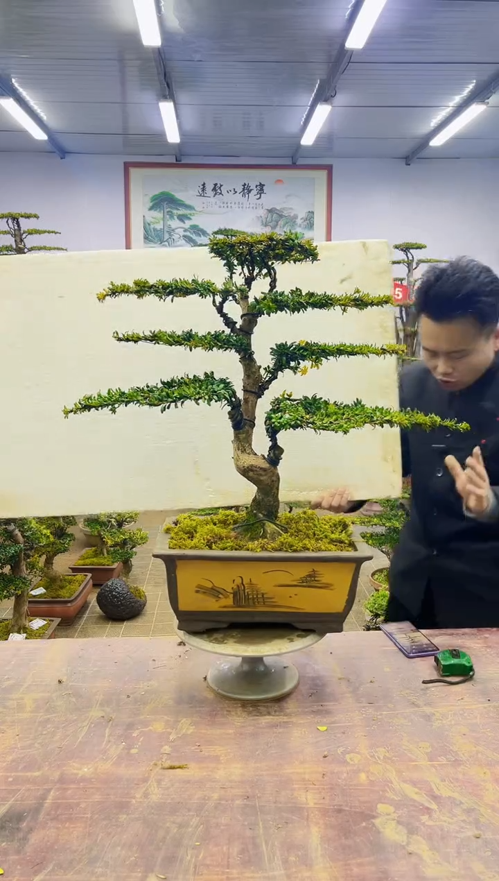 【闪购商品】一物一拍，所见即所得