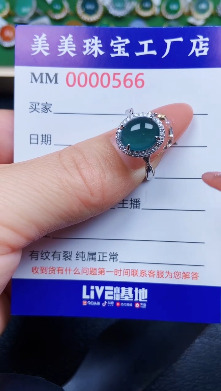【闪购商品】翡翠颈饰银S925镶嵌0566