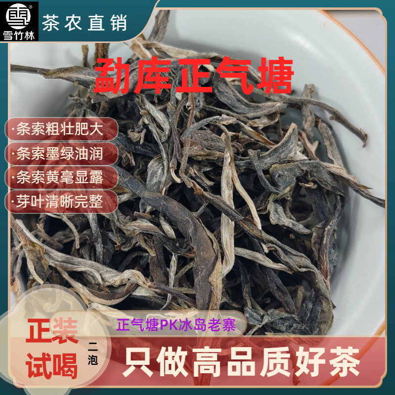 【雪竹林】2024年勐库正气塘古树头春茶茶气强烈香气浓郁耐泡