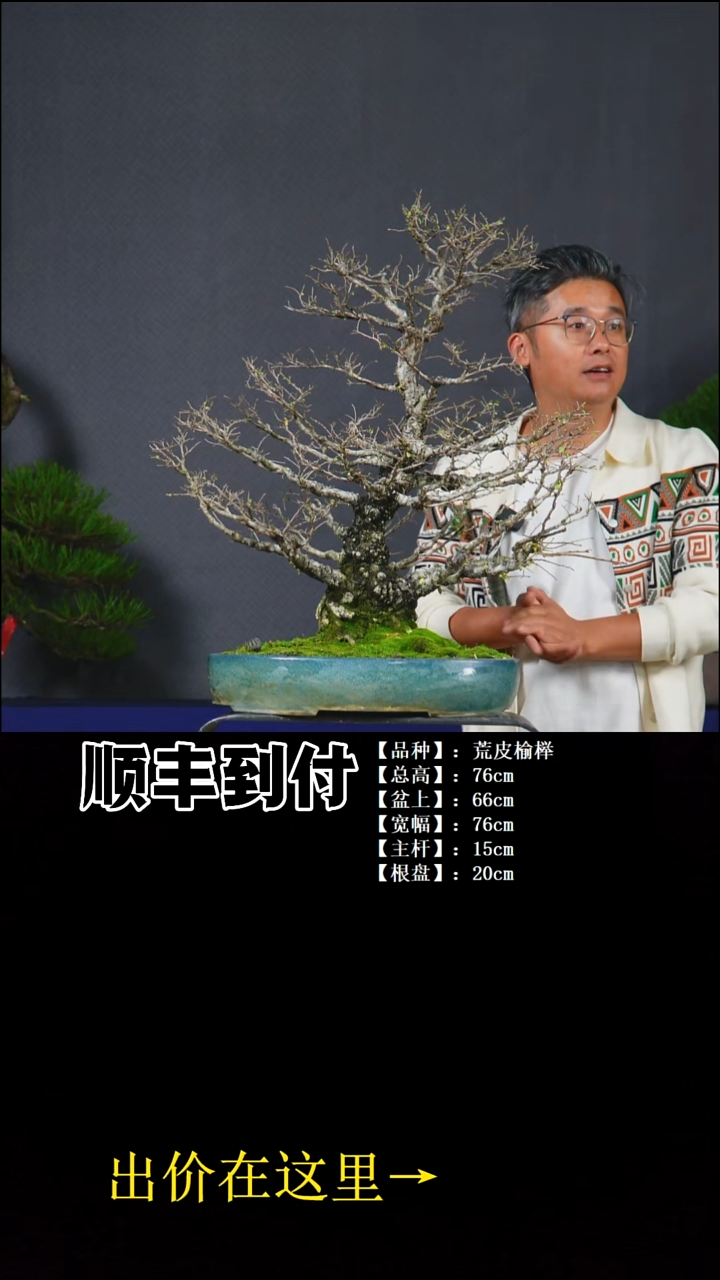 以实际为准荒皮榆榉bubaoyo