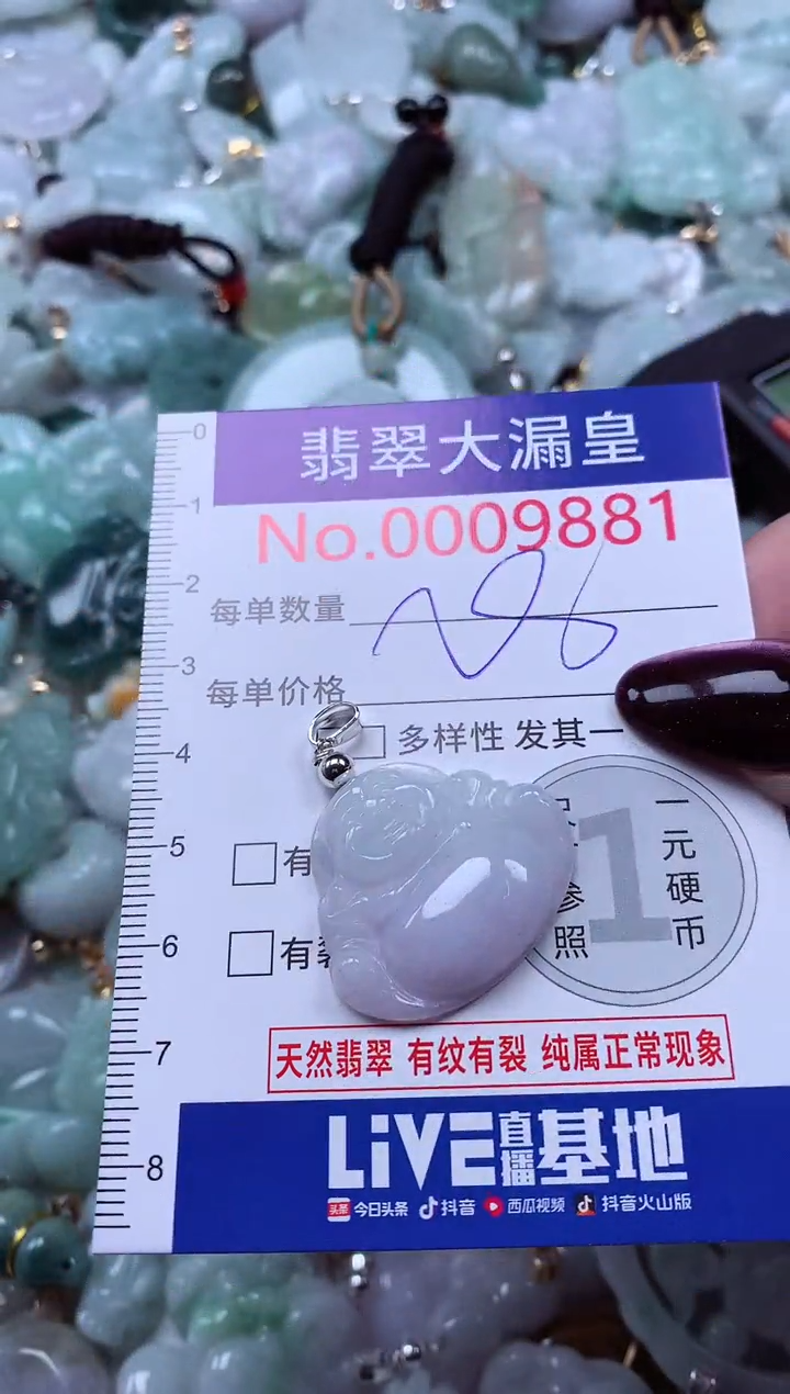 颈饰未镶嵌翡翠9881