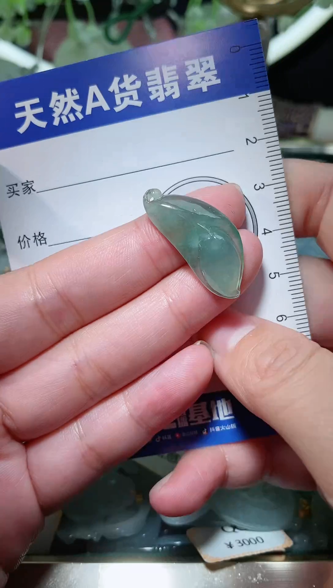 【闪购商品】翡翠颈饰未镶嵌 天然A货翡翠一件