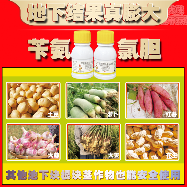 【小胖孩】地下茎块作物膨大液甘薯大蒜红薯土豆花生