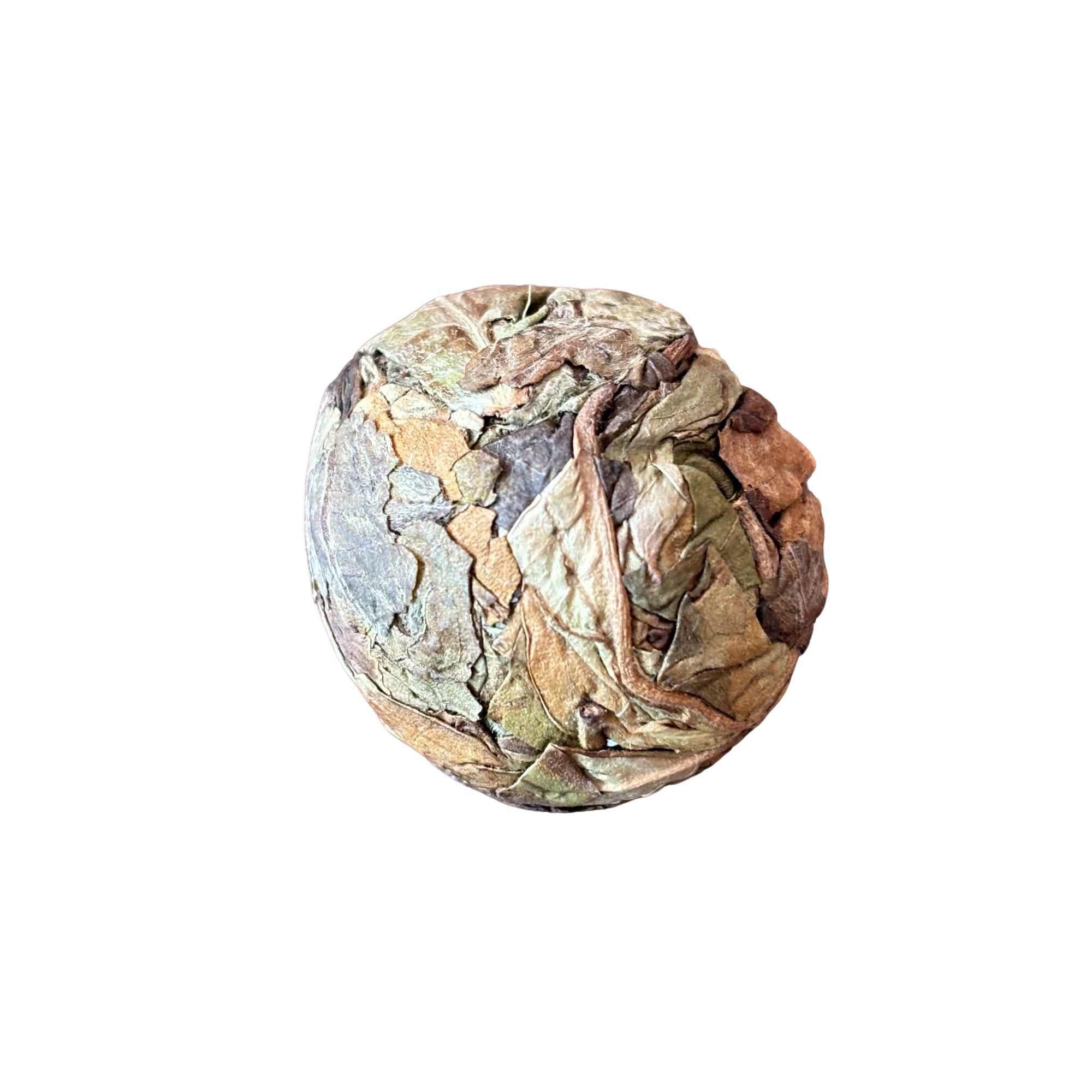 古树白茶龙珠紧压茶（白茶）