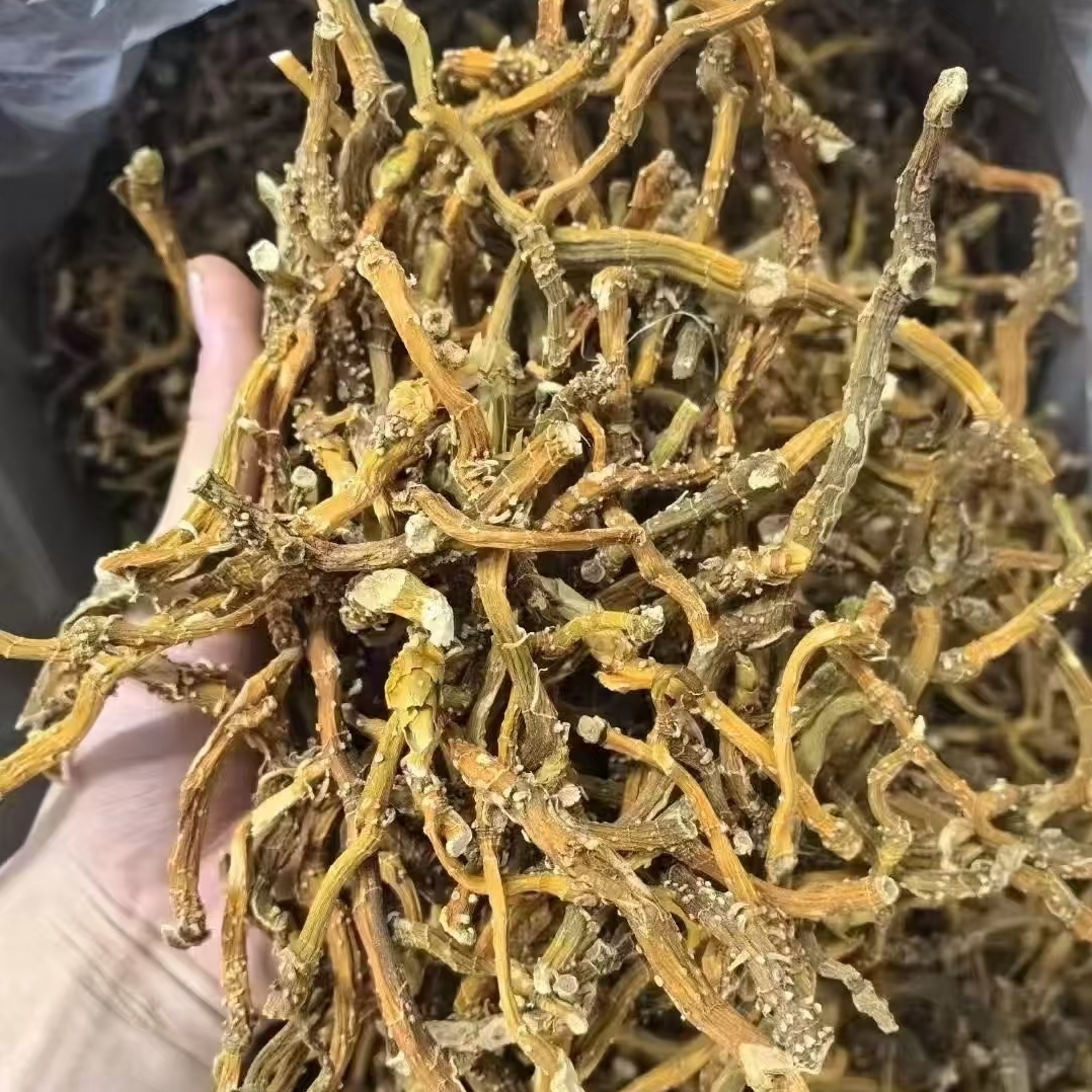 高山珍藏玉竹条 250g 熹菊山房专属 