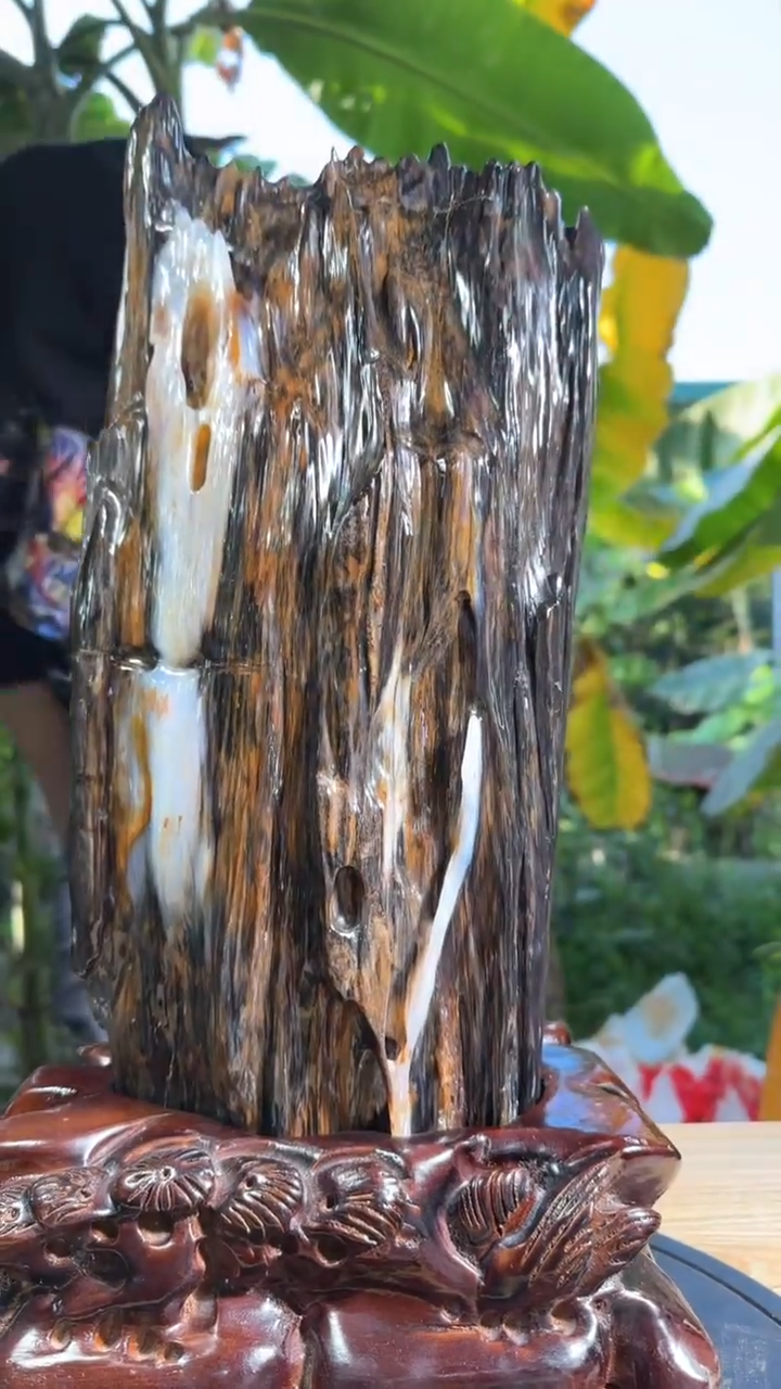 【闪购商品】硅化玉珠宝奇石未镶嵌拍一发一