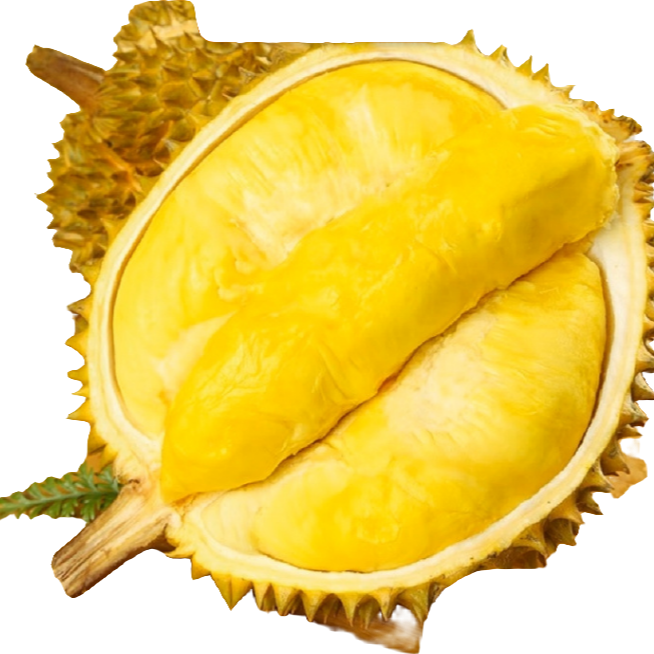 【119两斤半榴莲微软纯肉】正宗泰国金枕榴莲现场开果鲜榴莲验货每斤核小金枕泰国托曼尼甲仑金枕泰国