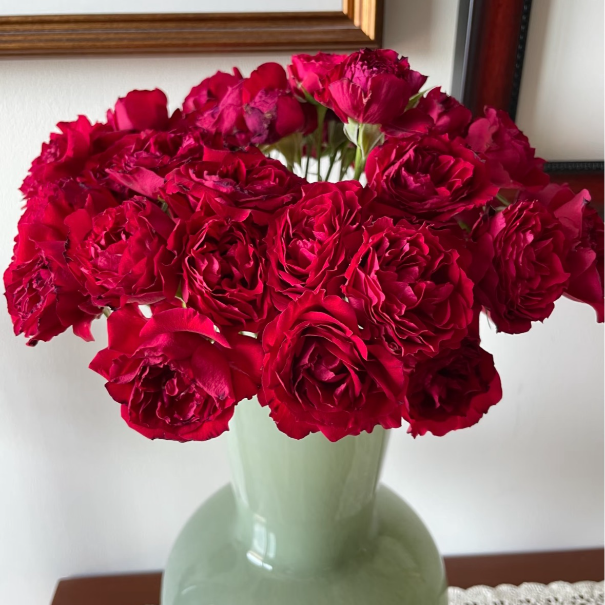 【一品花集】【石榴裙】稀有多头玫瑰 云南昆明基地直发家用鲜花