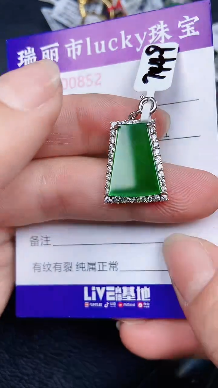 颈饰银S925镶嵌翡翠0852