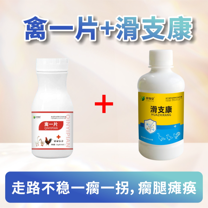 解决鸡鸭鹅鸽子鹌鹑站不起来不吃食精神差禽类养殖通用畜牧