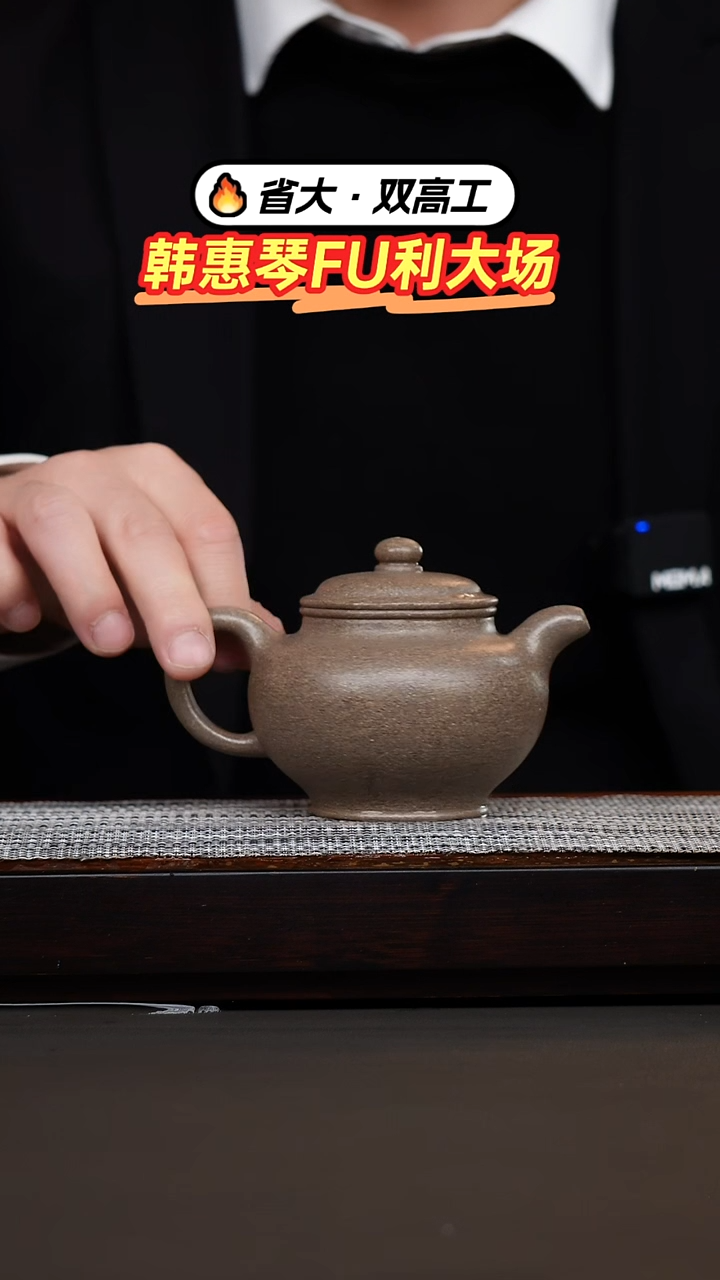 茶壶紫砂韩惠琴·青降坡掇只