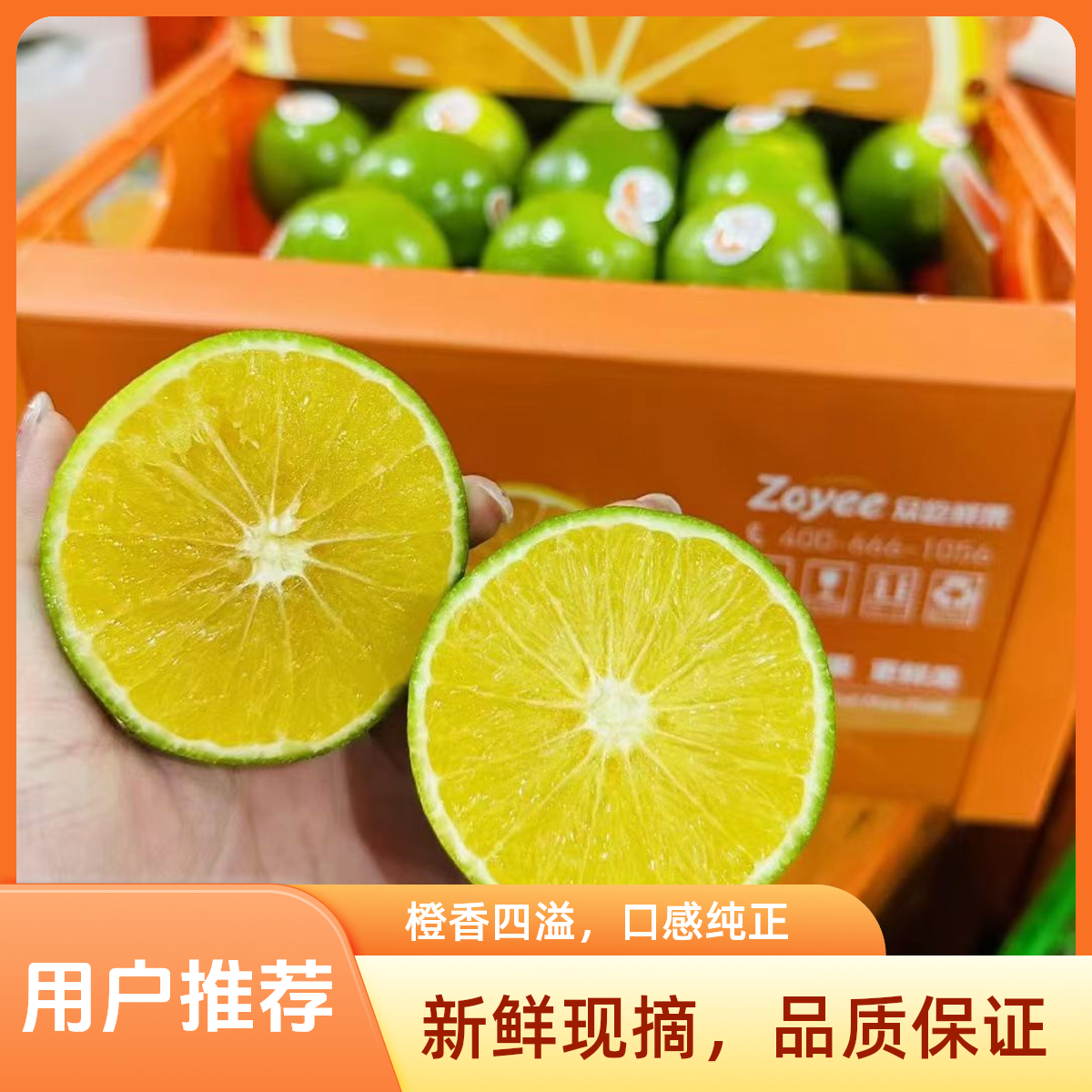 哀牢山冰糖橙橙子 约5斤左右