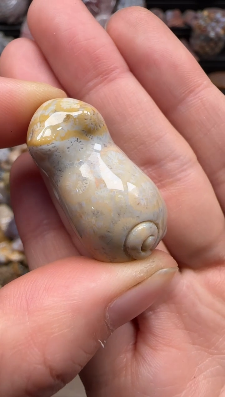 【闪购商品】硅化珊瑚（珊瑚玉）颈饰未镶嵌044