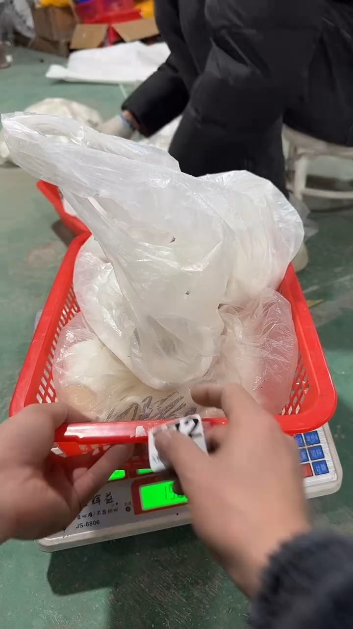 看清下单不退不换172