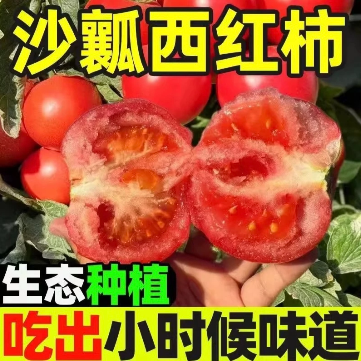 广西本地种植自然成熟西红柿沙沙糯糯超好吃老人小孩可吃2