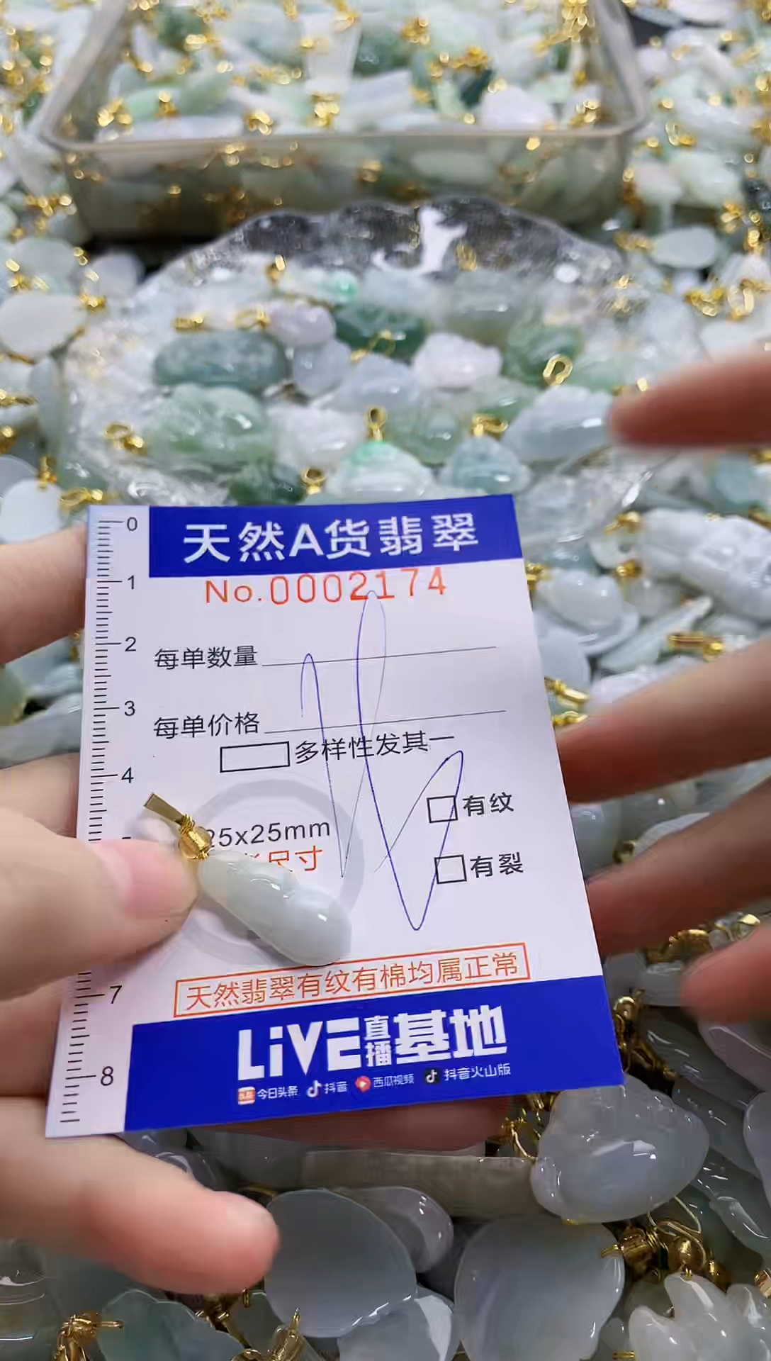 颈饰未镶嵌翡翠纯天然a货翡翠