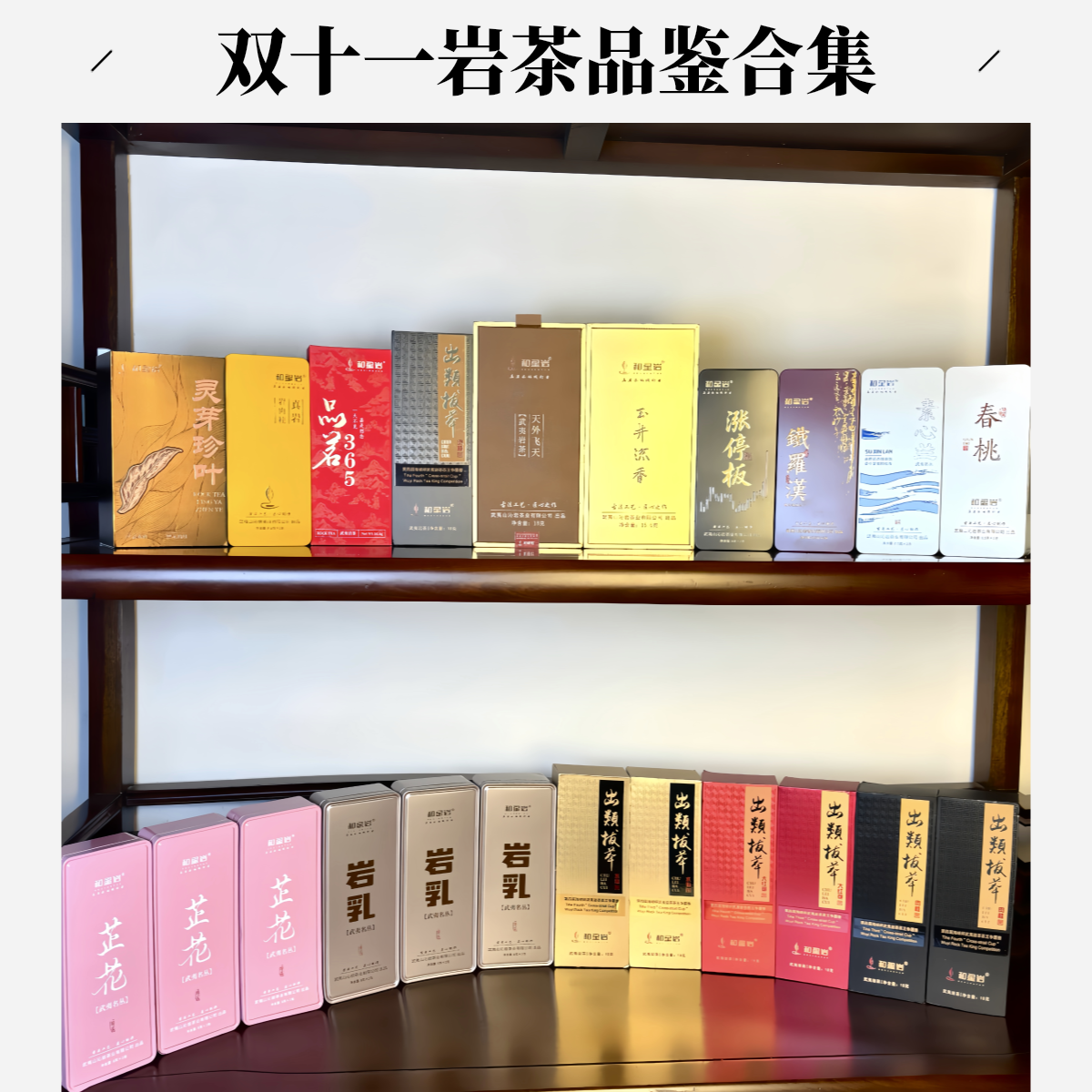 和星岩【双十二岩茶品鉴大合集B】正岩稀缺名枞大红袍品鉴武夷岩茶