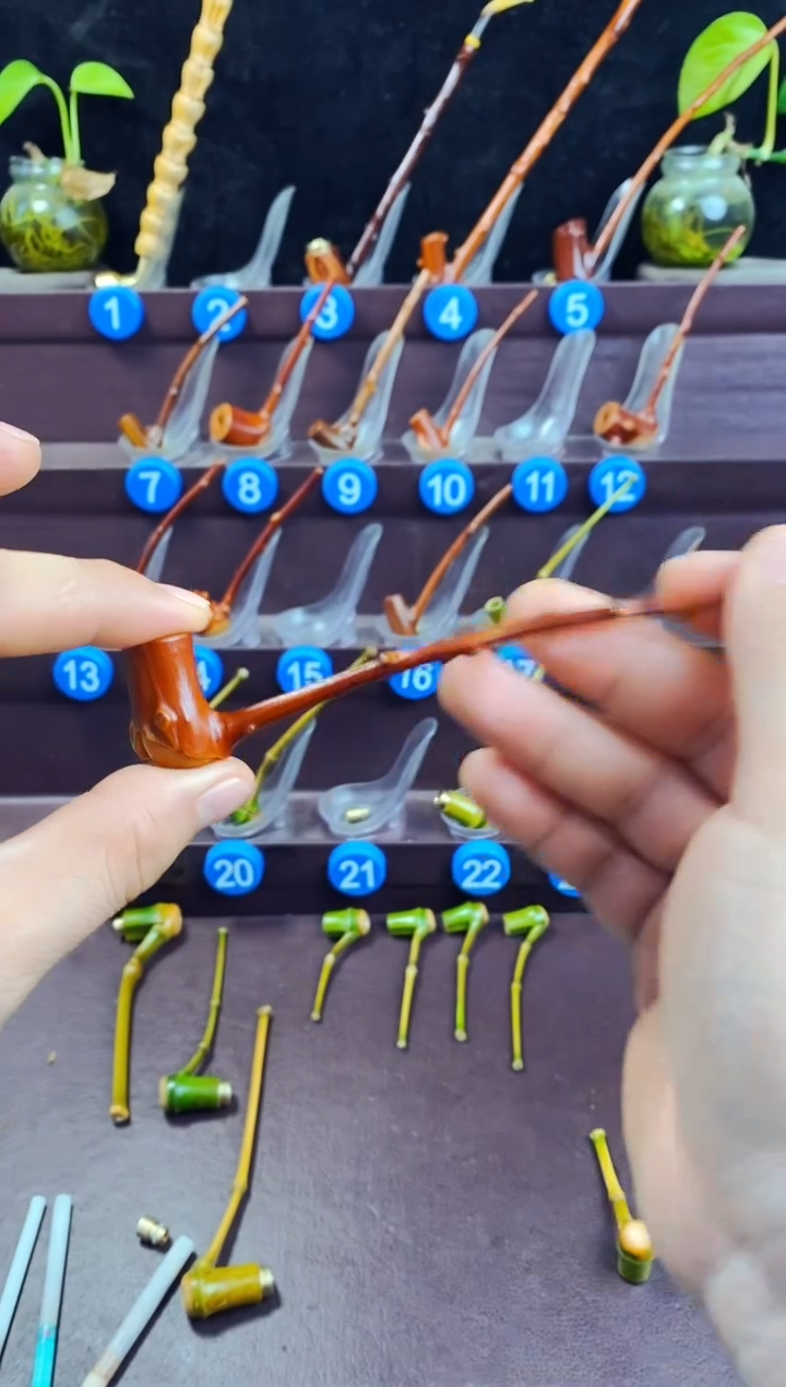 木檬子木的精品小斗