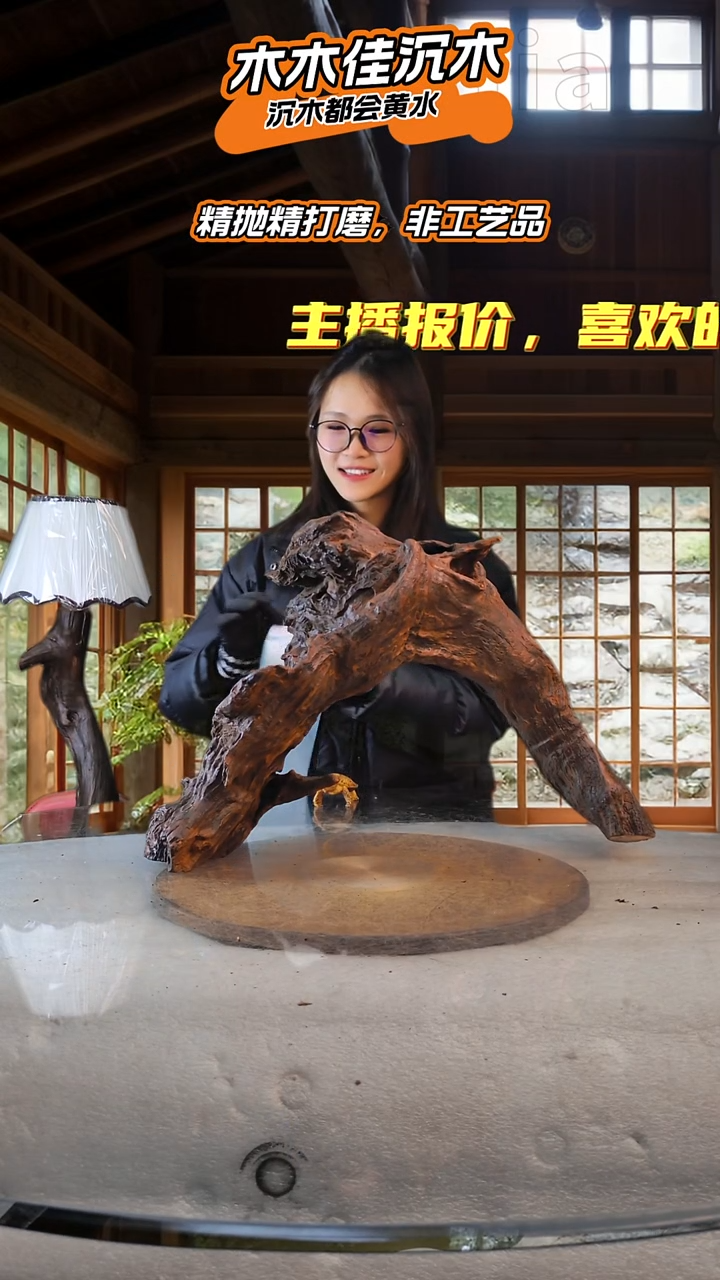 六*六木木佳沉木鱼缸造景-529