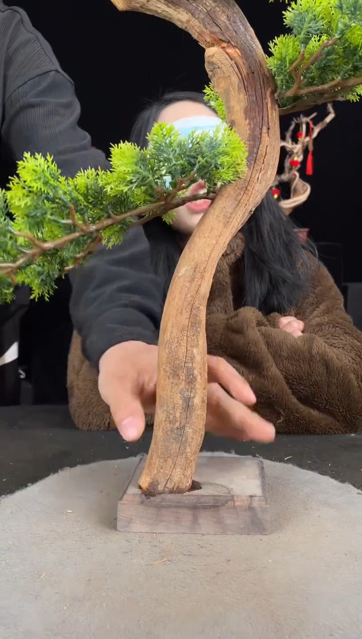 【闪购商品】柏木（崖柏）其他手工摆件,先抢先得!