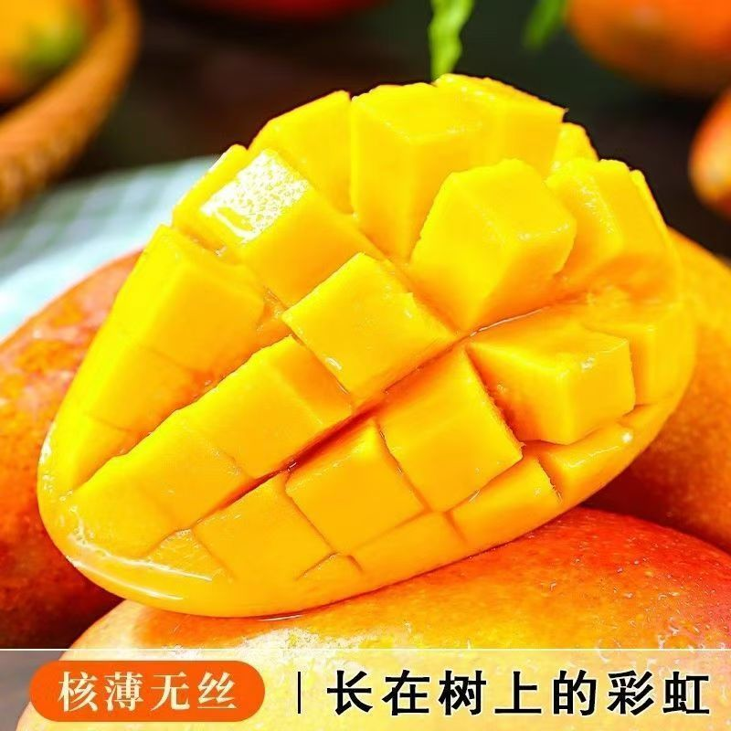 （催熟食用）贵妃芒果新鲜采摘应季鲜果