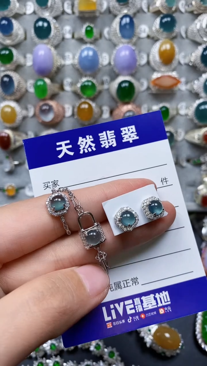【闪购商品】翡翠颈饰银S925镶嵌0479