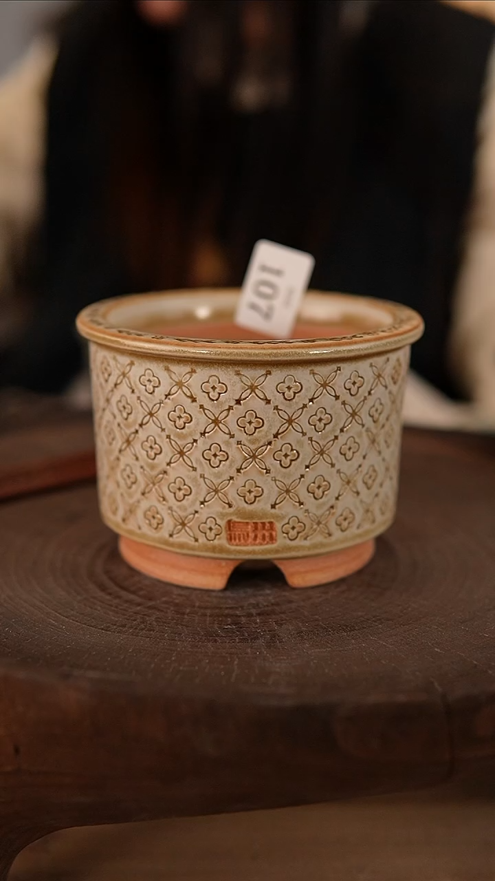 【闪购商品】陶瓷2-22-107默认有瑕口9