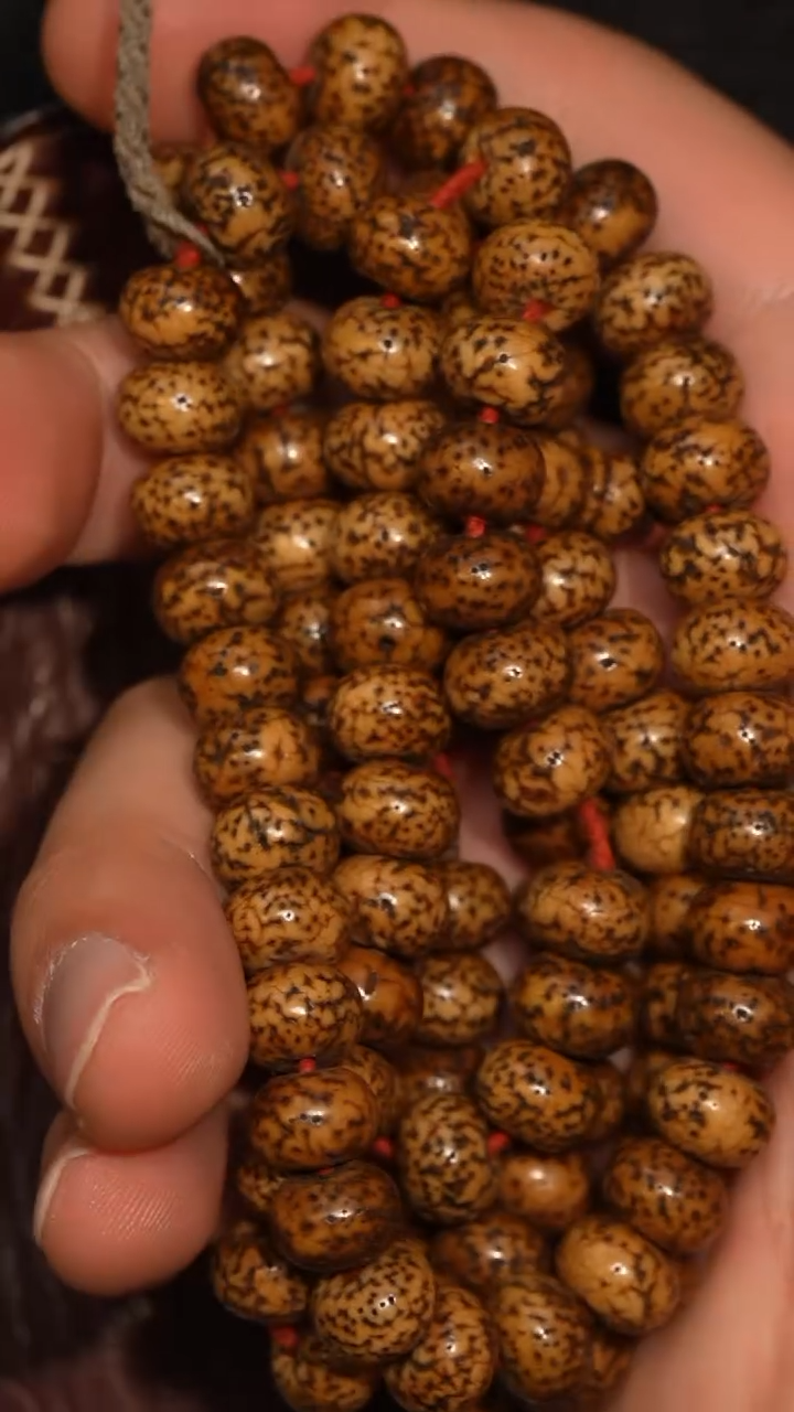 冲赛康胡子哥，藏传念珠222