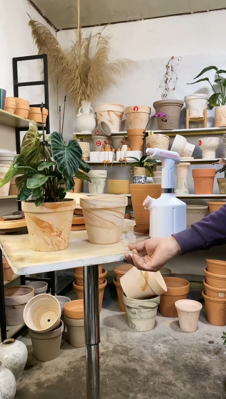 【闪购商品】红陶15*14玛奇朵 2盆无托