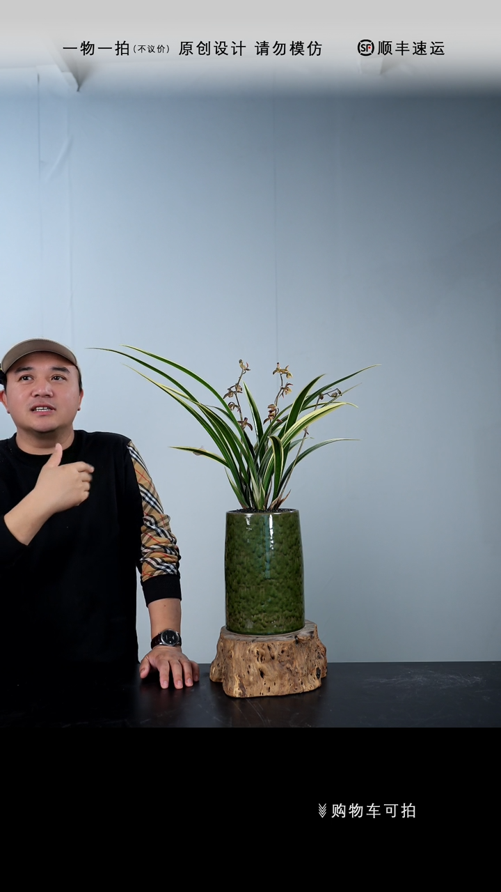 【闪购商品】012号链接【一物一拍】艺术盆景