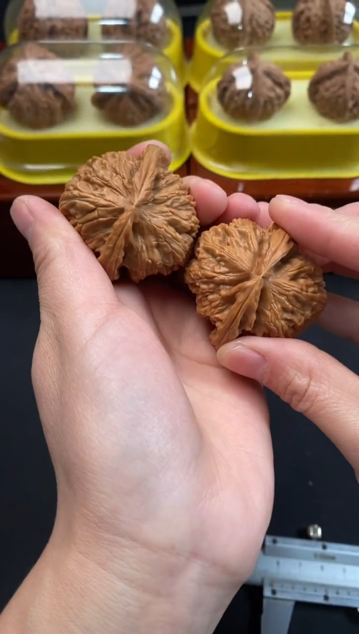 把件文玩核桃白狮子44尺c981
