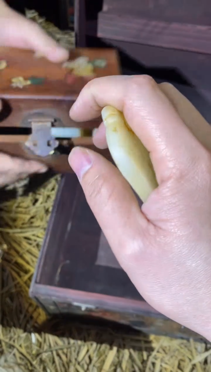 【闪购商品】趣味文玩摆件趣味文玩摆件