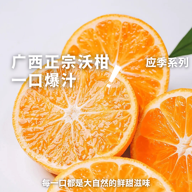 【粤桂协作】正宗广西隆安沃柑新鲜现摘皮薄多汁应急水果柑橘带花皮