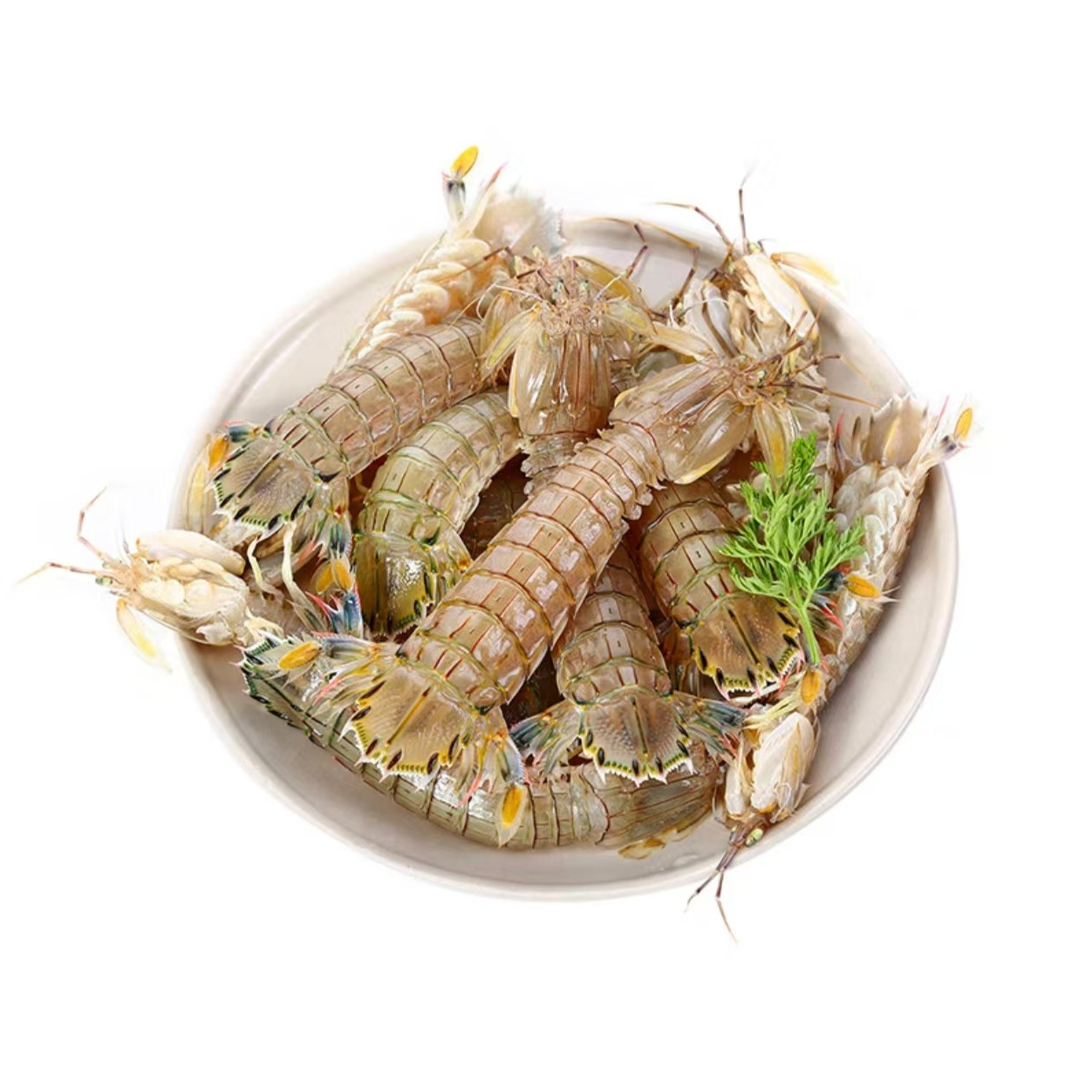 【活虾】鲜活皮皮虾1斤（保鲜不保活）