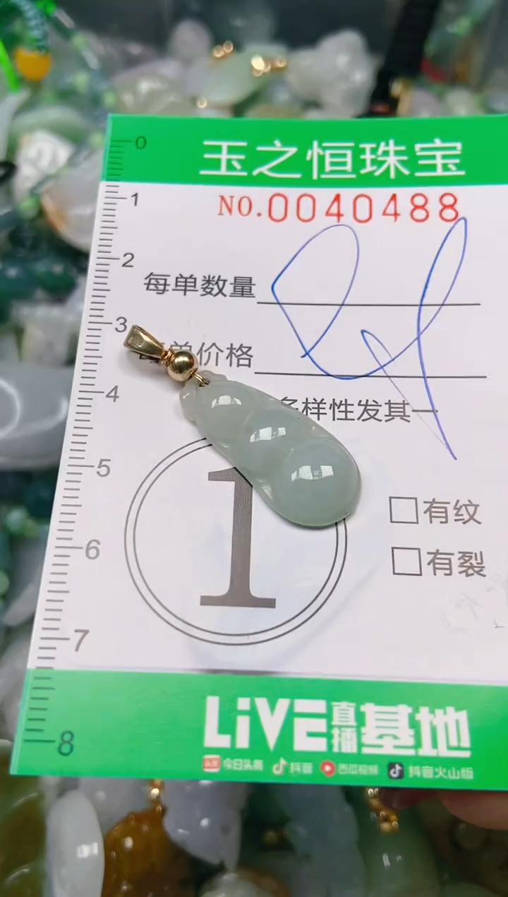 【闪购商品】翡翠颈饰未镶嵌闪购0040488