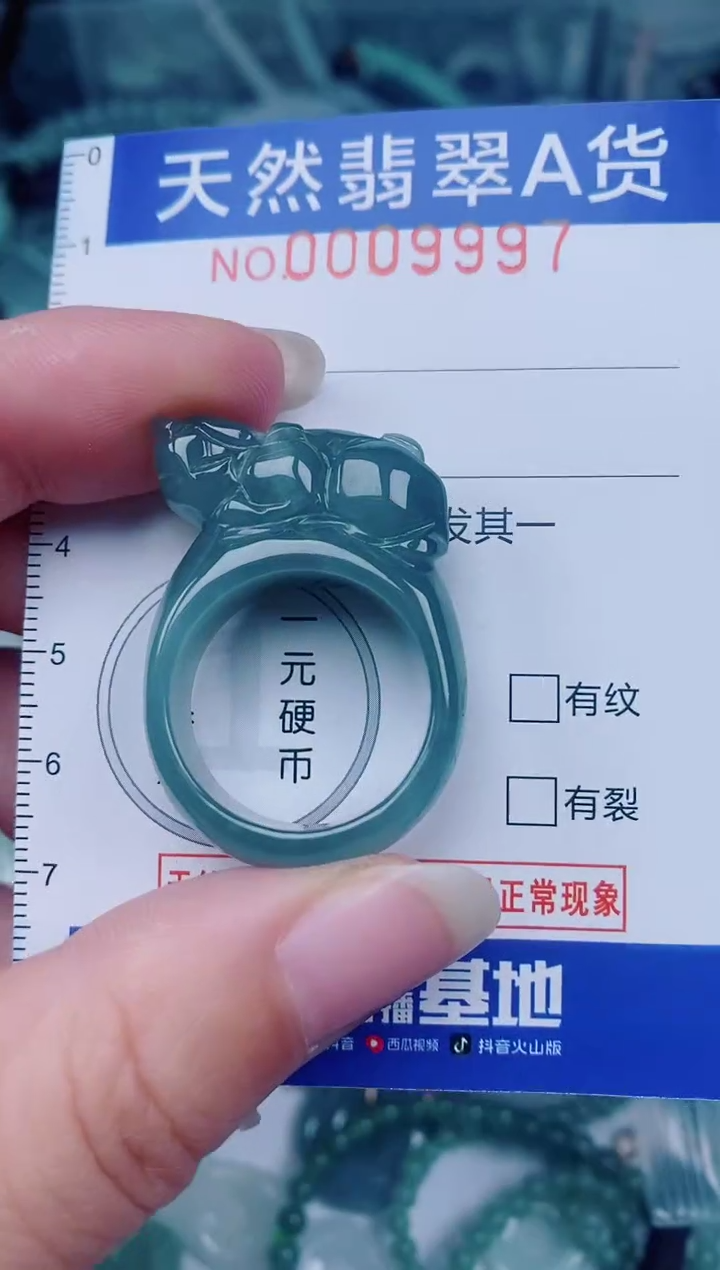 颈饰未镶嵌翡翠00009997