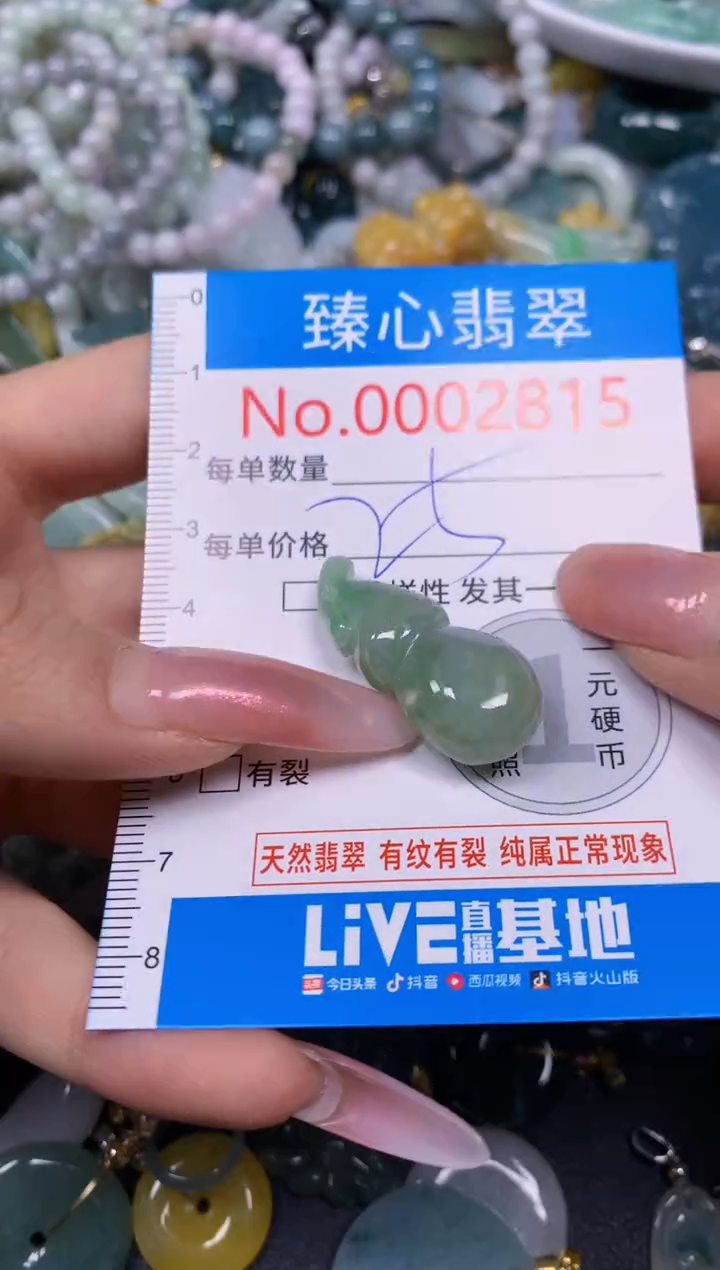 【闪购商品】翡翠颈饰未镶嵌含绳0002815