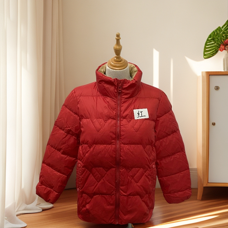 C453  时尚休闲立领羽绒衣