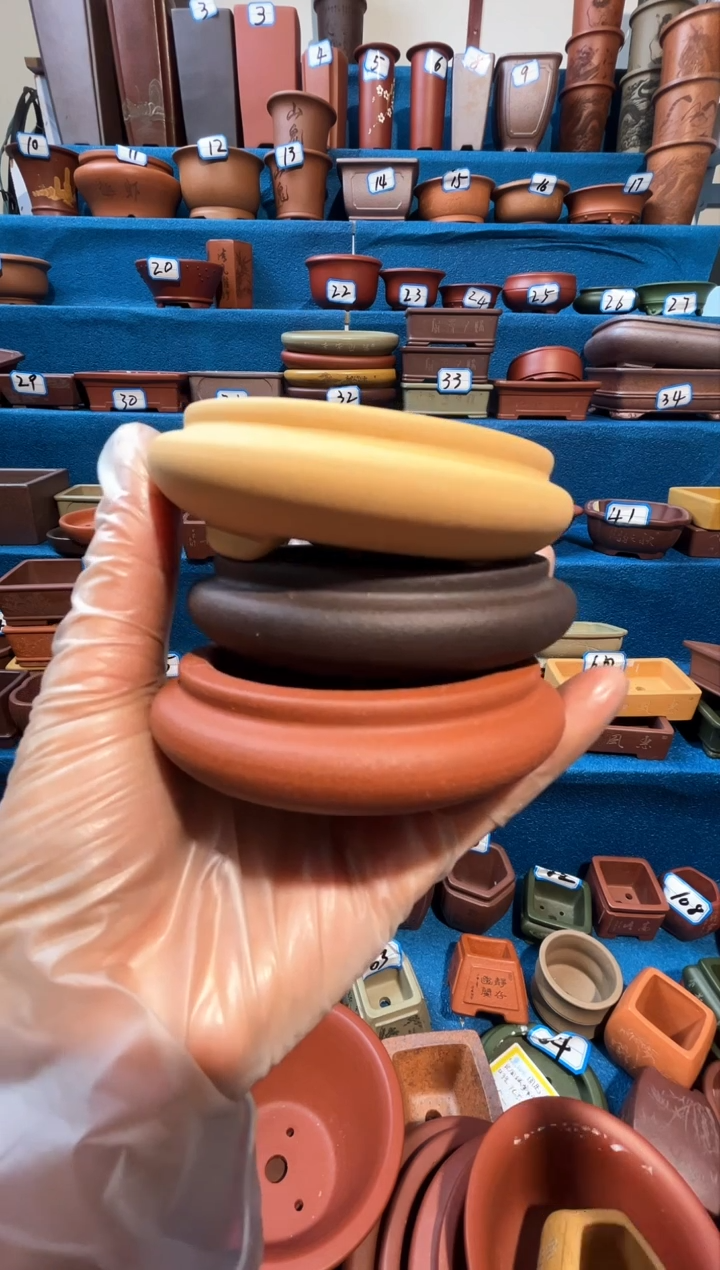 【闪购商品】紫砂紫砂花盆6.5*1.5