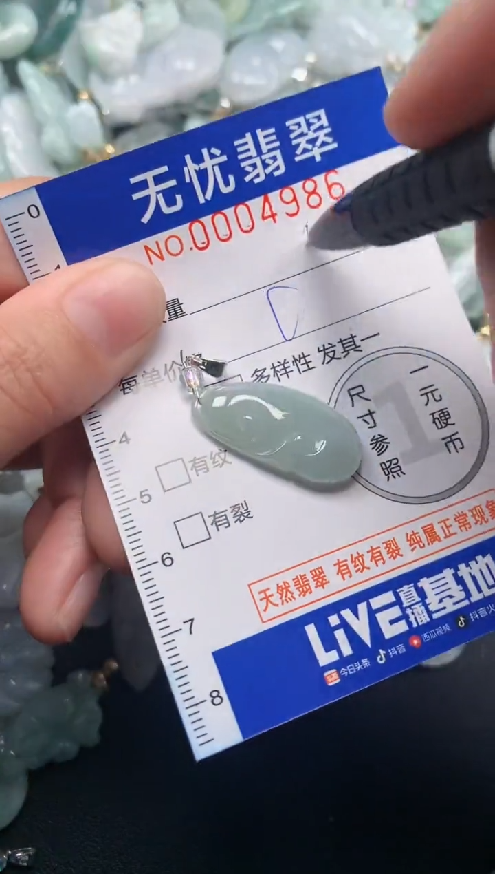 颈饰未镶嵌翡翠4986