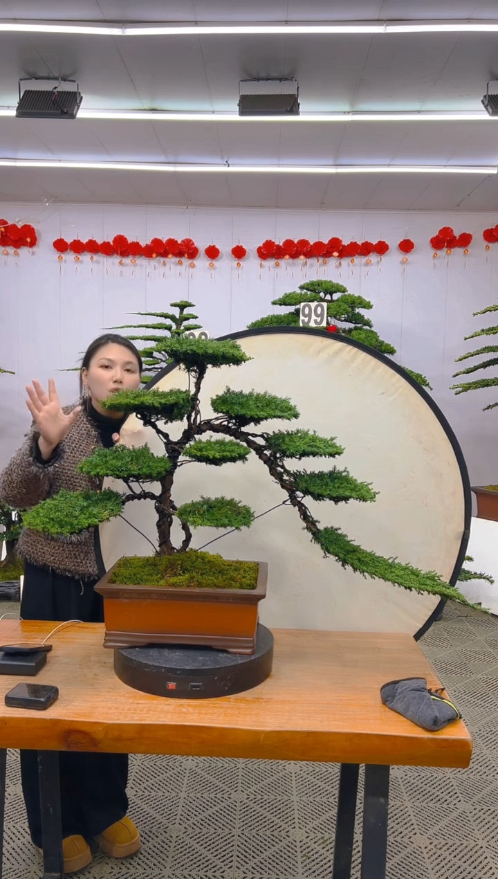 【闪购商品】盆景1