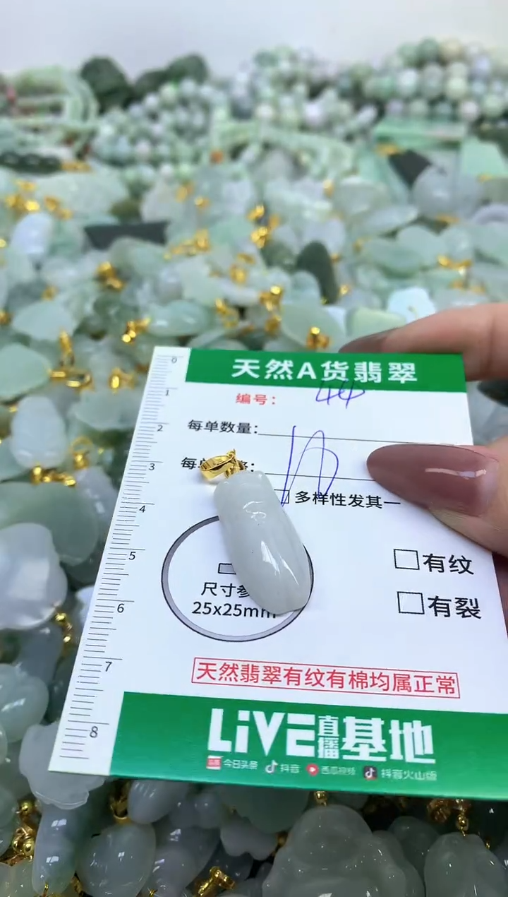颈饰未镶嵌翡翠纯天然缅甸A货翡翠
