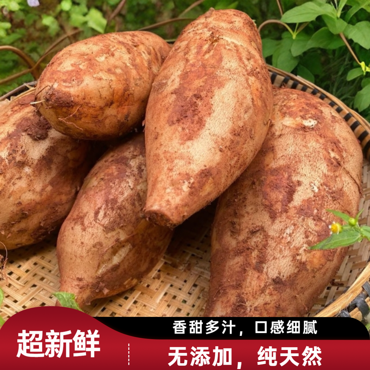 云南雪莲果新鲜现挖黄心脆甜多汁应季水果